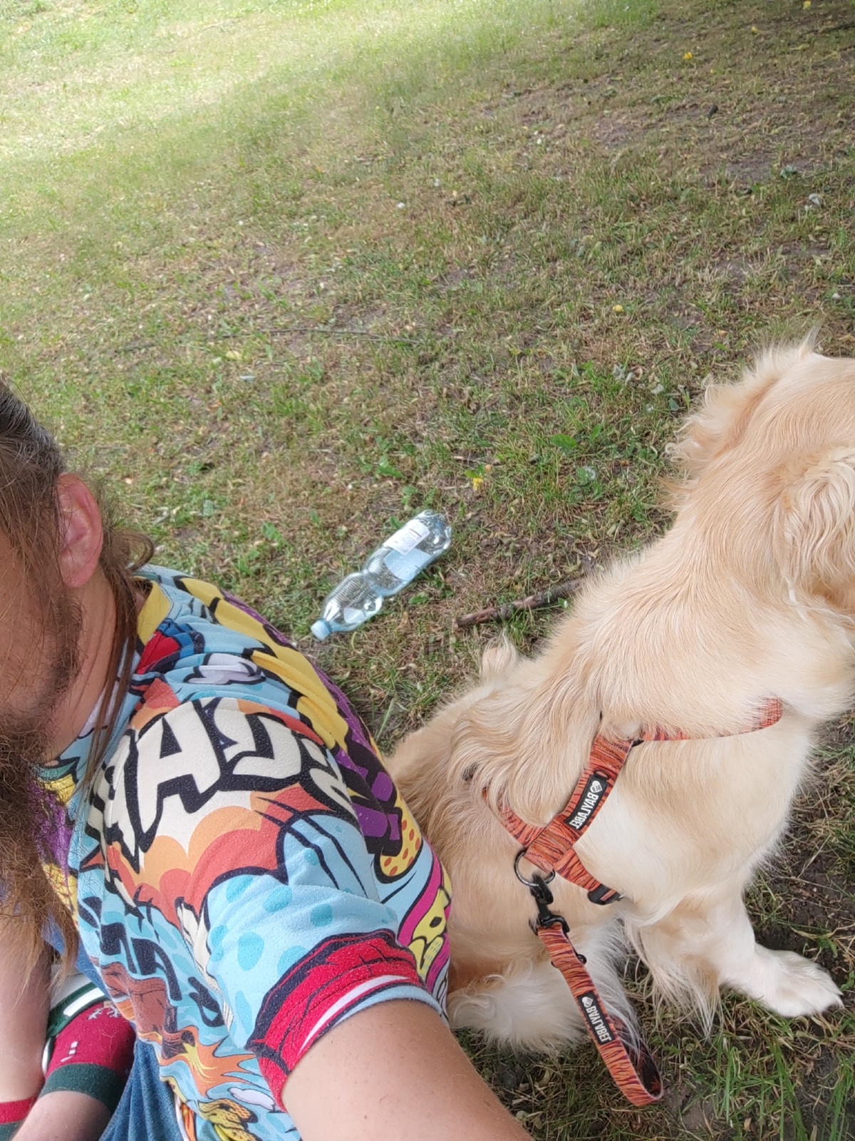 bc7c4da8-048f-455b-b0d6-274d0736b27f