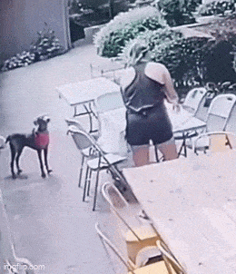 4ab53cf7-13a6-4d8b-8685-2545b241758a