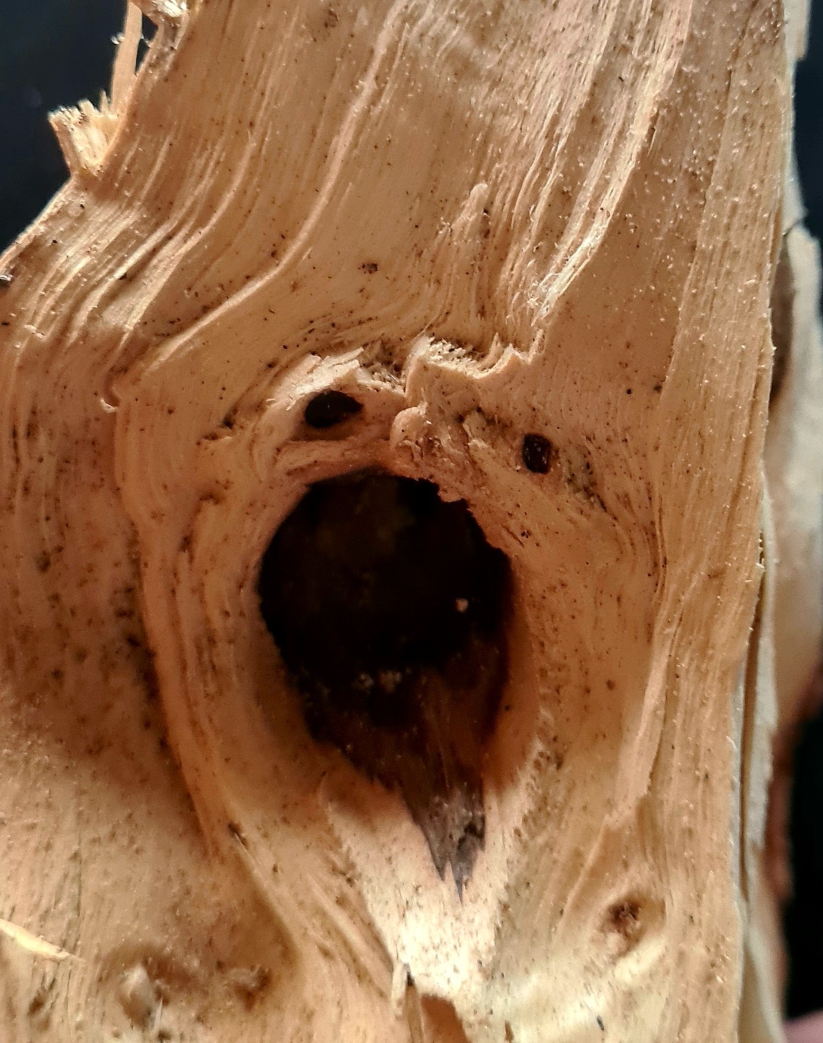 8e807b12-5ed7-4059-bbdd-de2faed188d3