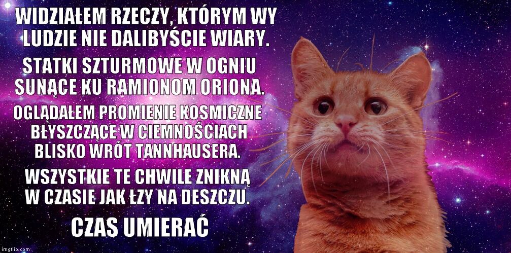 fc883a9c-c17c-48c7-8024-f4e4021a7fa8