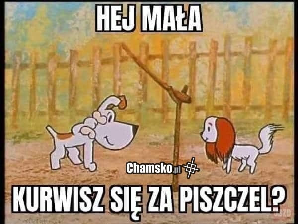 ca0cb783-349b-4edd-a6d3-2ee8acb9634f