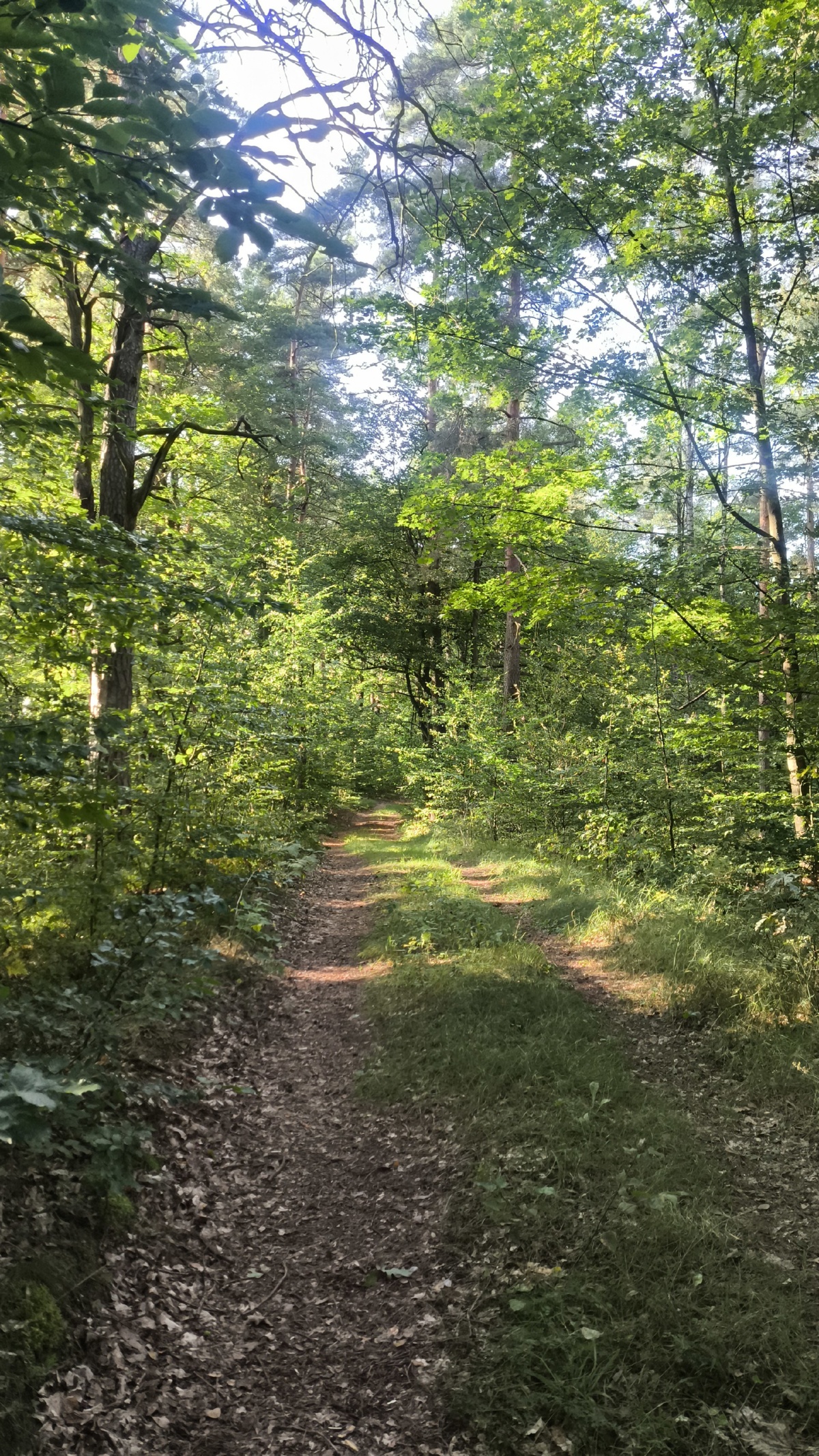 b070f6ec-3137-4dcb-882f-4543ac26619c