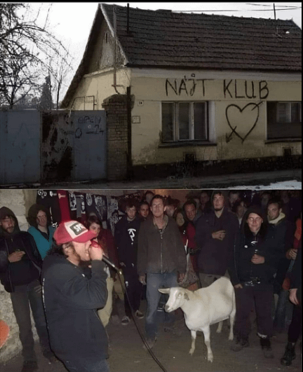 10588da6-d648-4a0a-b191-a678664addd1