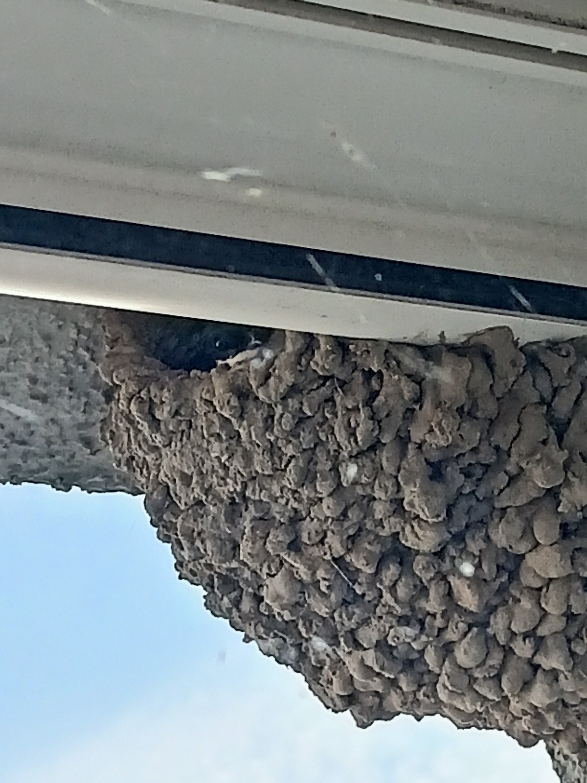 6039f5f0-b055-411a-bcfb-9dbd3534bf77