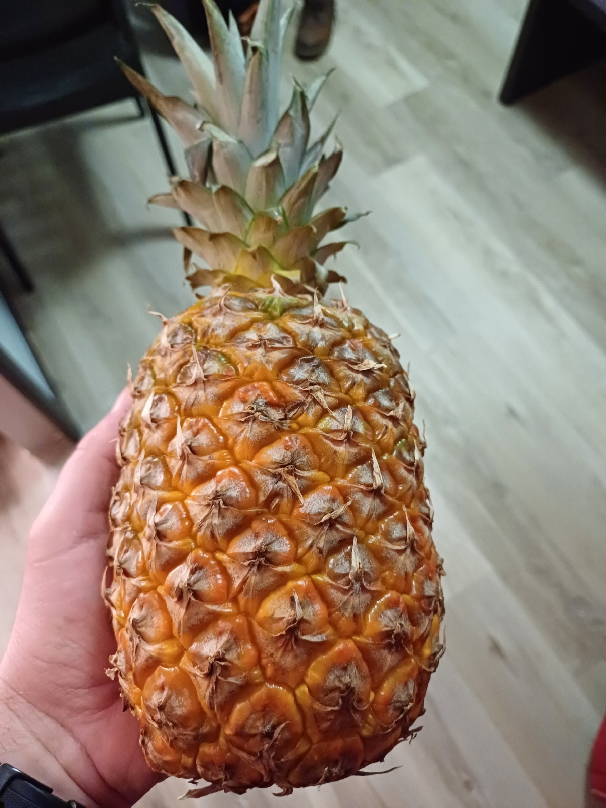 6c7d6f13-62d8-4f8c-ad34-3230808bad4d