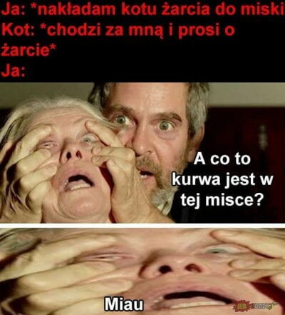 bcff303f-e8b3-4ebc-b900-9e43a954b964