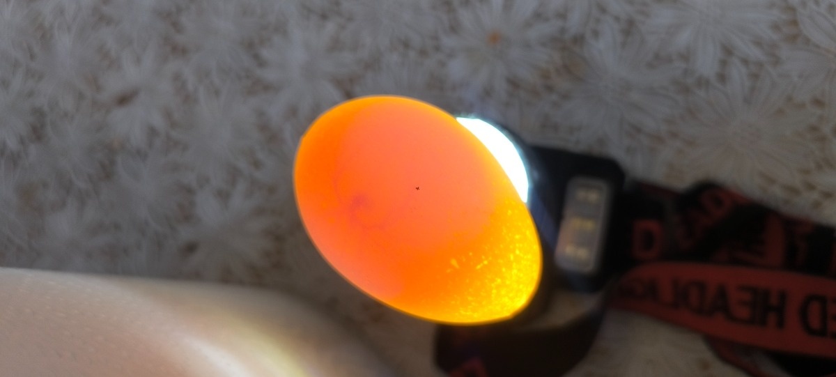 07b5ba0b-d48a-408d-a063-115317dfbf31