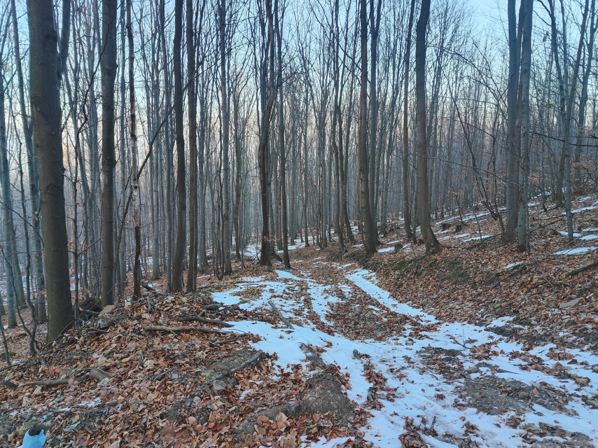 57a2084c-4ca2-44ac-8538-60dd2819b99a