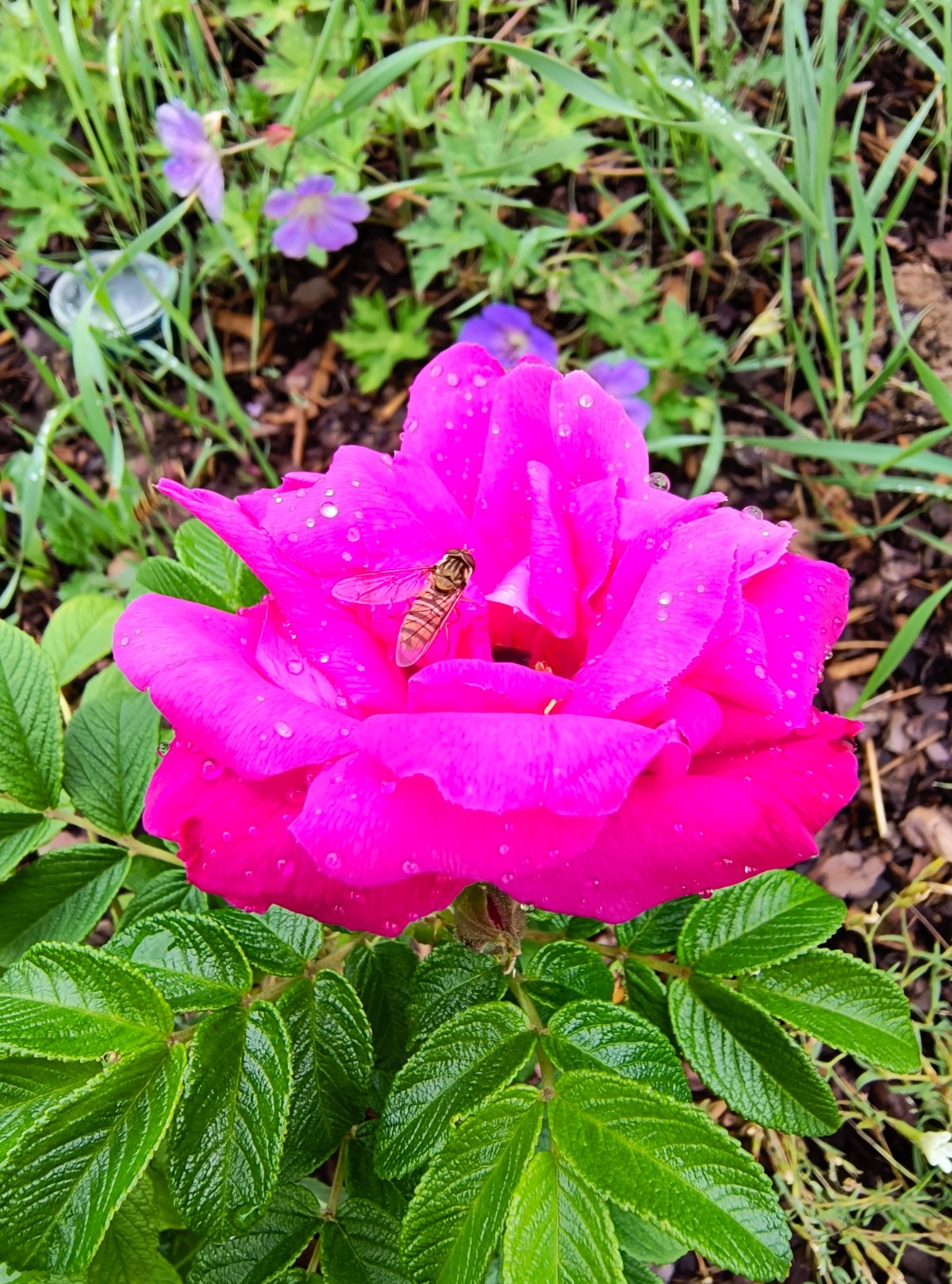 955f1f95-c2ec-472f-8442-ad7991e8a1f3