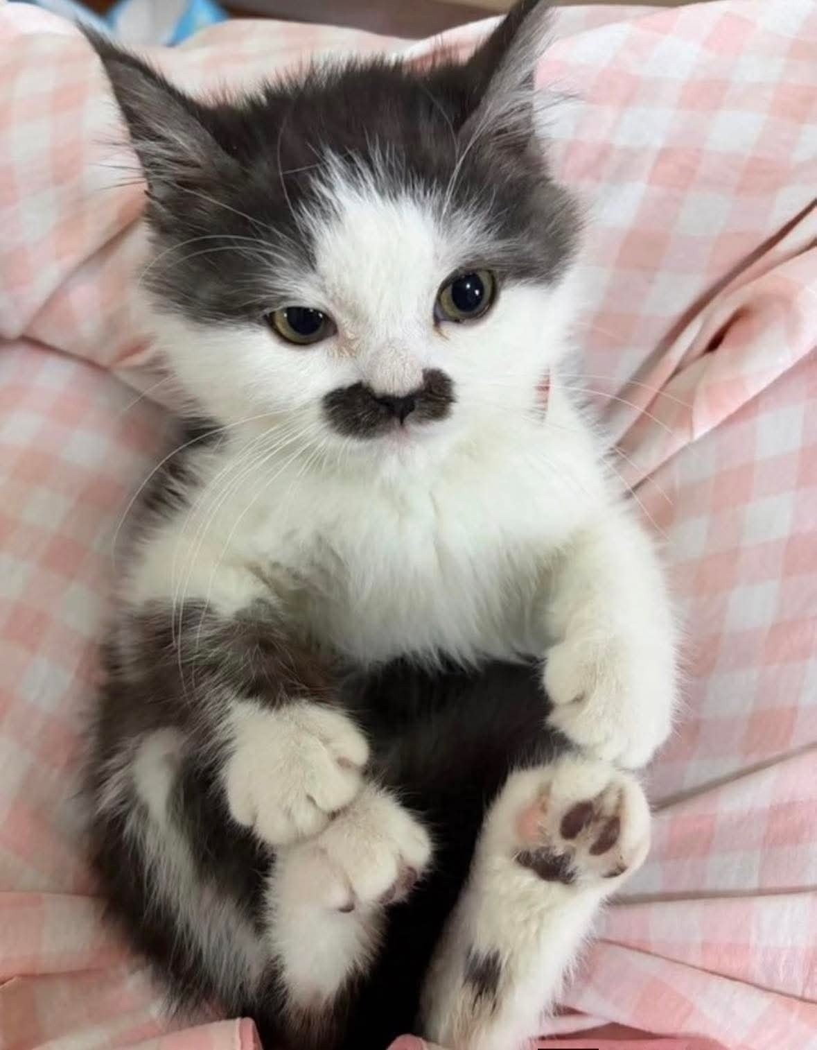 9ce239c4-be94-4732-954a-3bf5b5496056