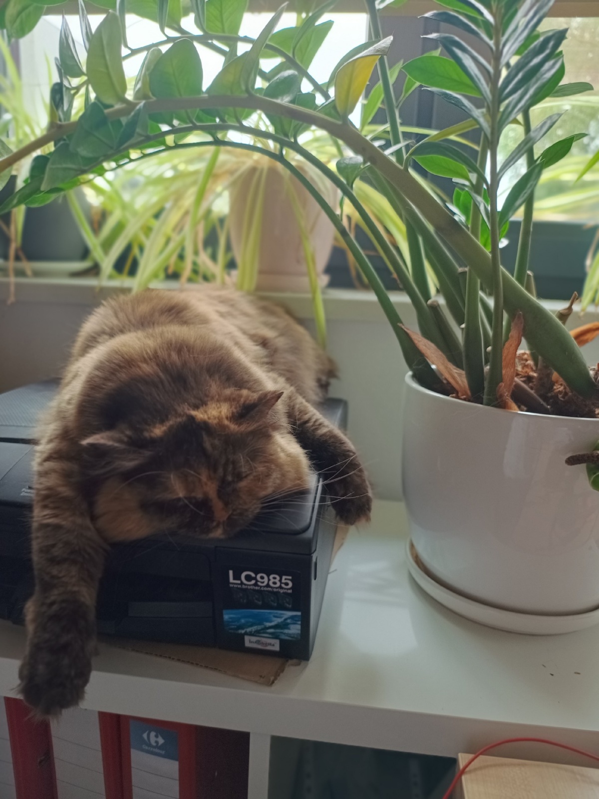 51d4fd77-abbf-43be-9b3f-0b122d36579a