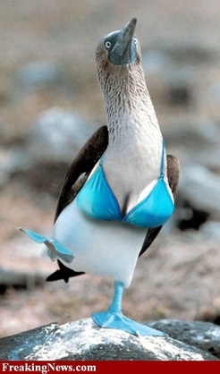 df79d3c4-4374-470c-922a-281267d72694