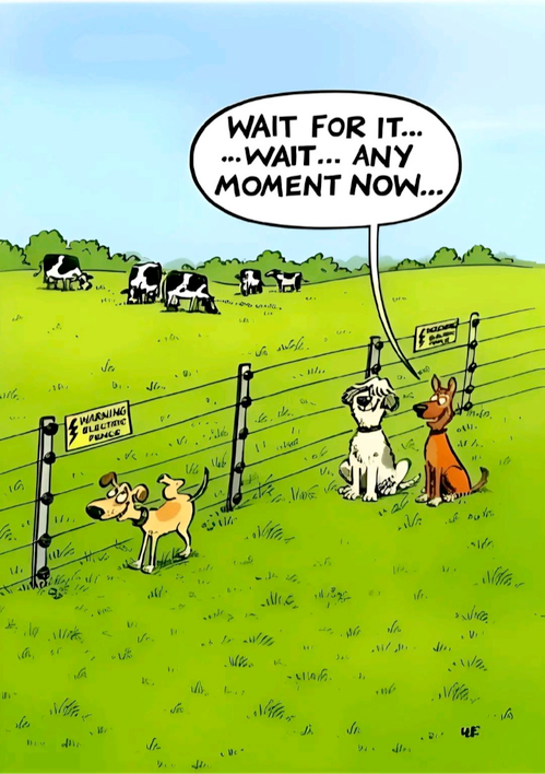 d785649f-ef5c-4793-af86-de3af9dc2566