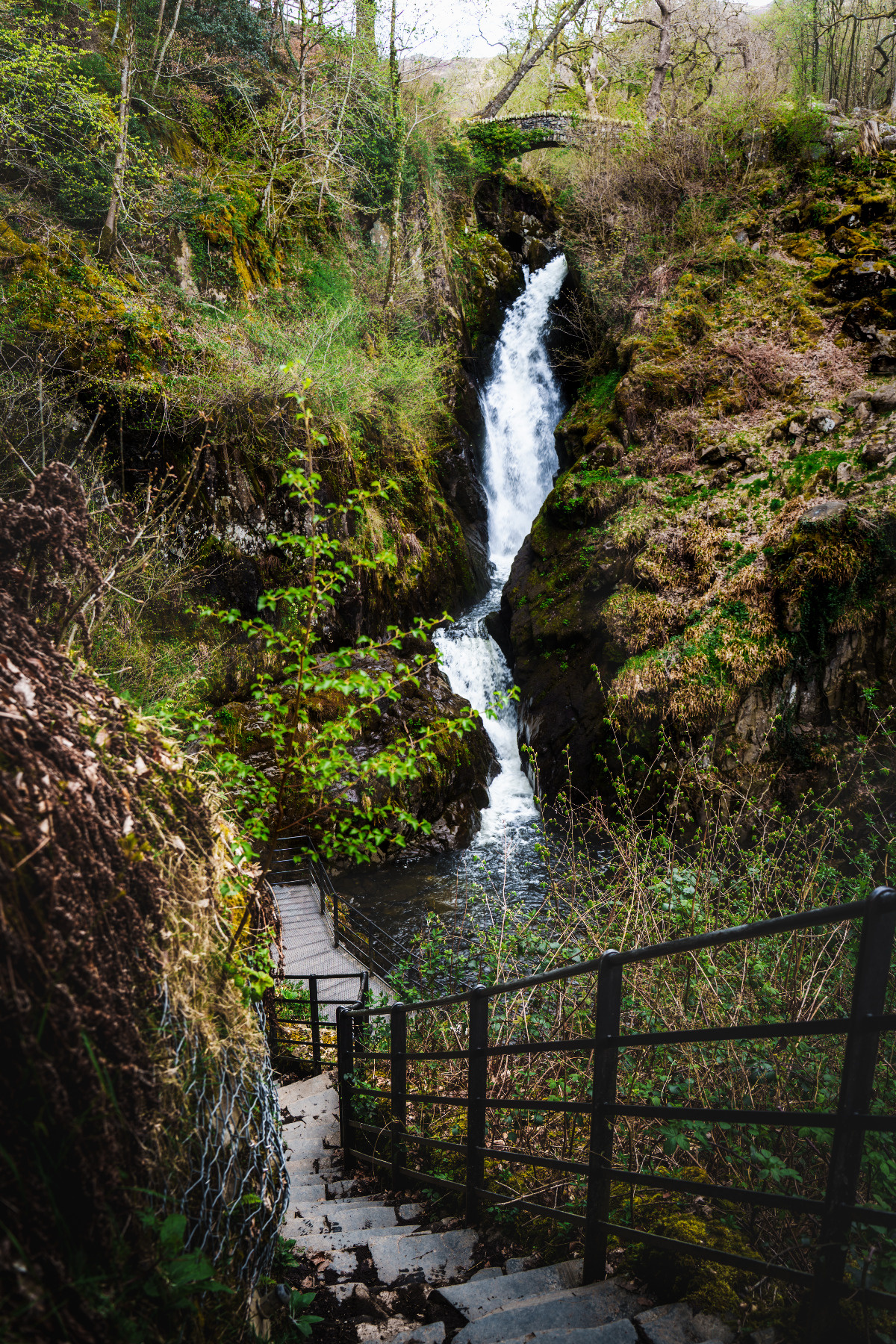 920c54d3-d061-4424-9b25-36da3797396e