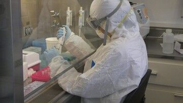 Naukowcy przeprowadzili badania pilotażowe doustnej szczepionki przeciwko COVID-19