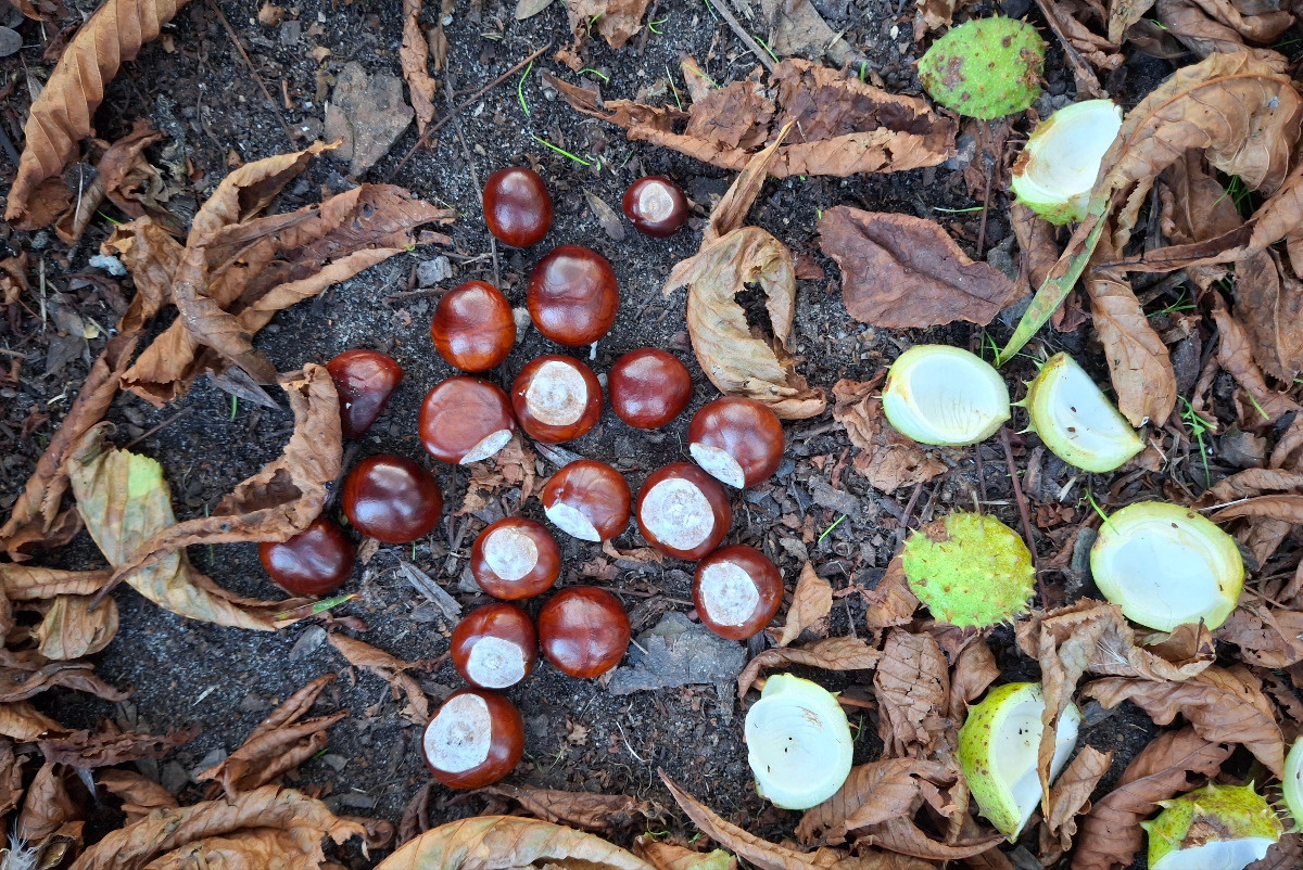 d45f471c-8b0a-4f17-b655-e1a8819c973b