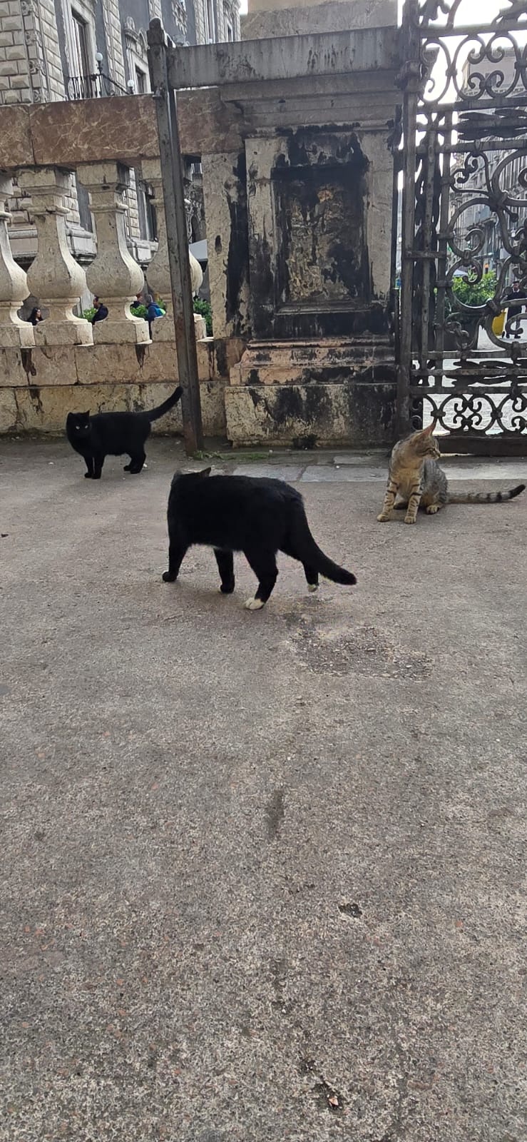 02c5c023-929c-4848-b12e-73c25ab5828c