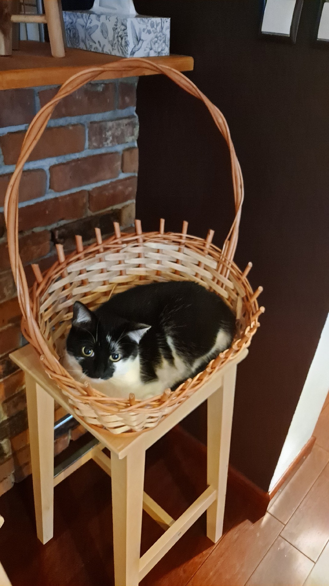 e89ab181-96f6-4970-bae6-da53eb76d54b