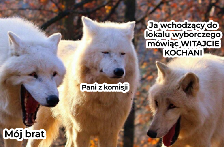 c4c167bf-dadb-4dc4-81e6-8d8e971aa575