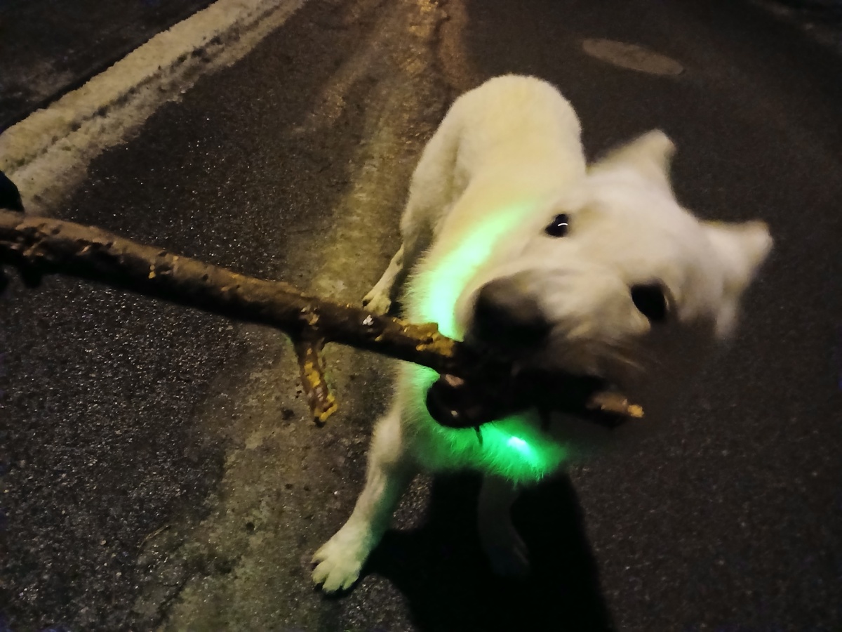 e9a9052f-950d-4b23-8918-6452c496d6fe