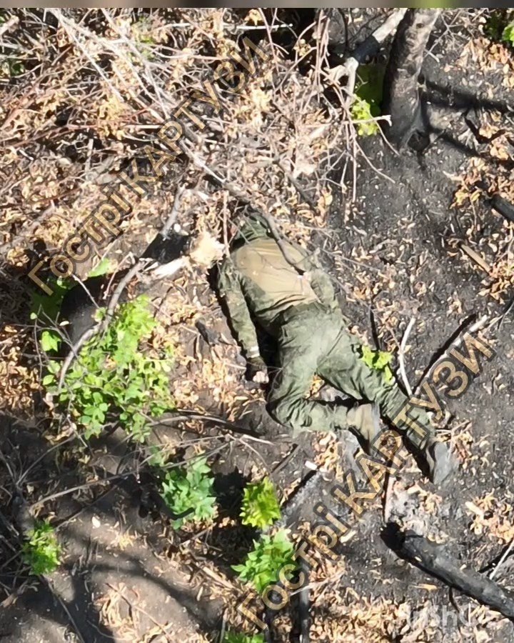 3708f77e-3f68-49b4-bb89-cff96acff59c