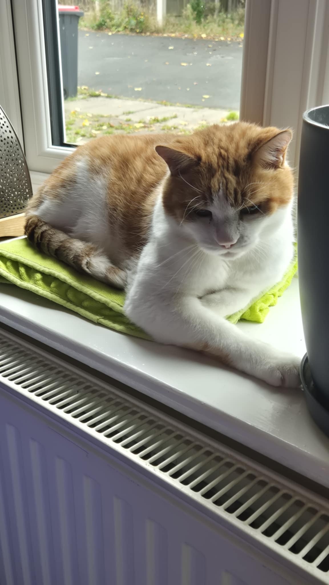 6a7bf885-4932-4e4b-a1d4-e267c6f9c015