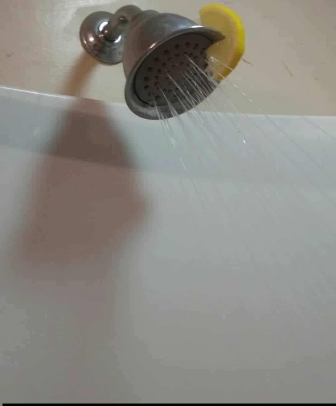 ee3e096e-7d6e-45df-90df-ed5886408f9c