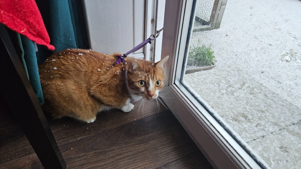 92344e83-6834-4694-886b-999ac98a80e7