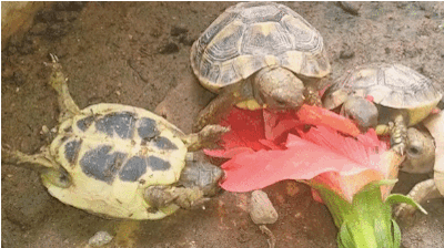 d3e6327e-1013-4711-a34c-460f8906155d