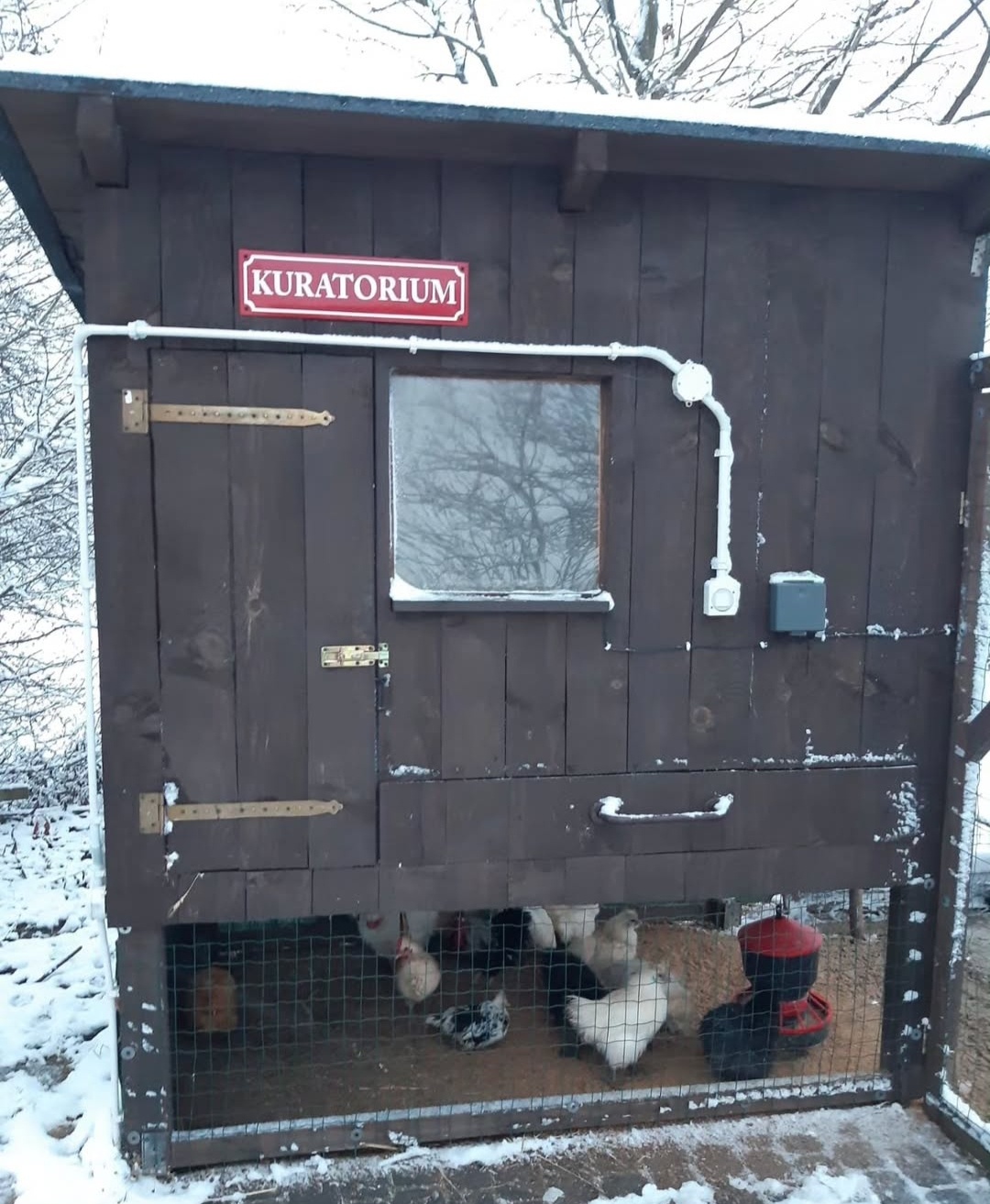 a08e5c9e-d977-470e-b469-7fdef41188d6