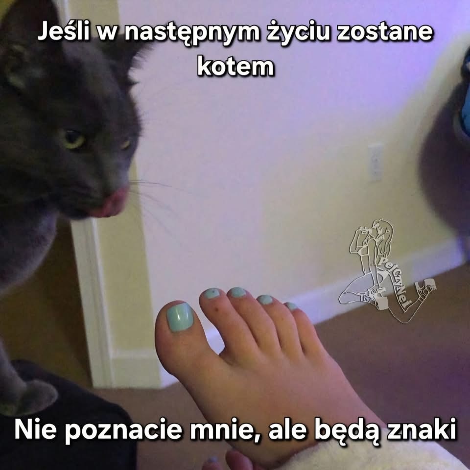 c523182e-5e13-4ec1-a000-d8d2e319aec9