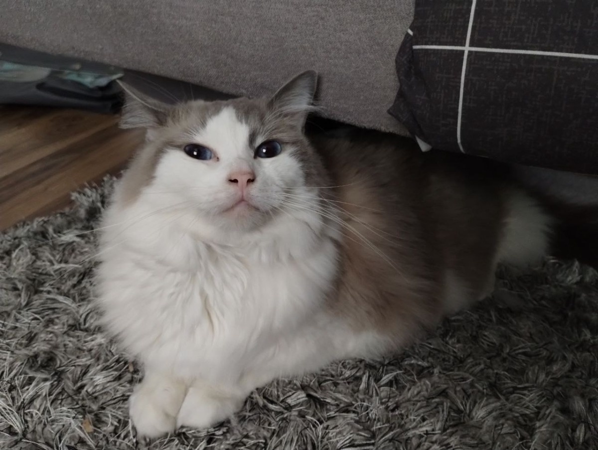 4916dd87-cbf3-4f69-8bff-9a3f5d969fc0