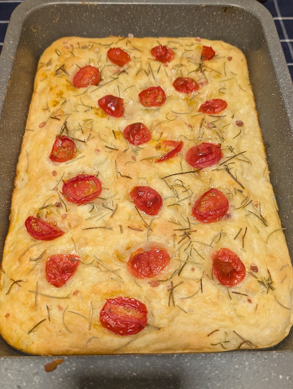 df8fd482-c3a0-44ad-88e6-2f813bb4f9e4