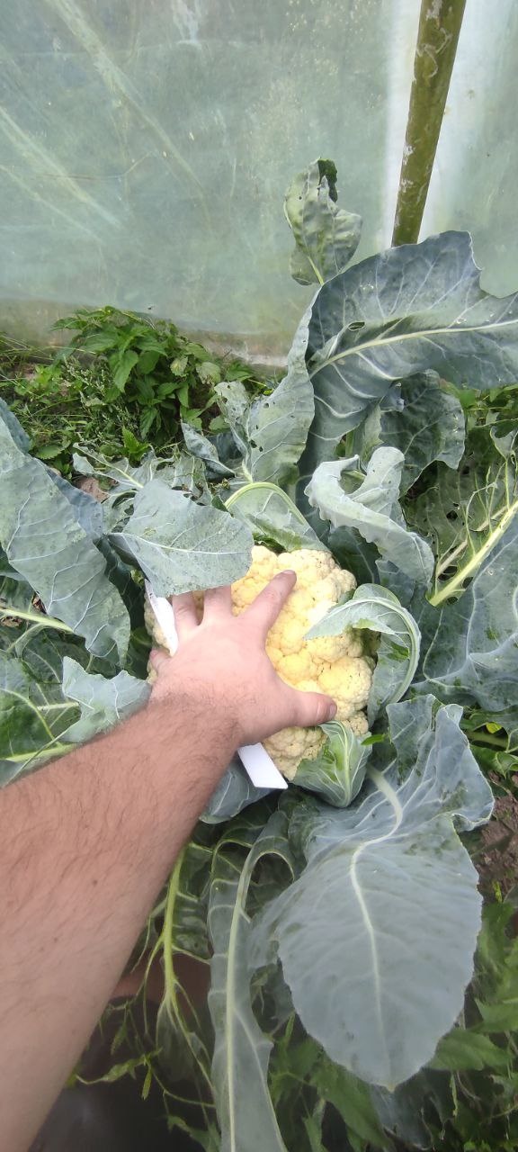 cc528bd7-d230-473c-b9af-0b4a9fc60d98