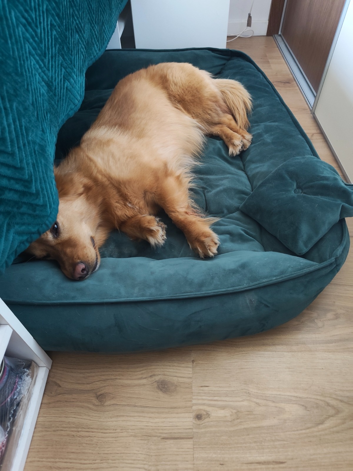 9c68dc76-853e-4f99-b28e-f7f64a55454d