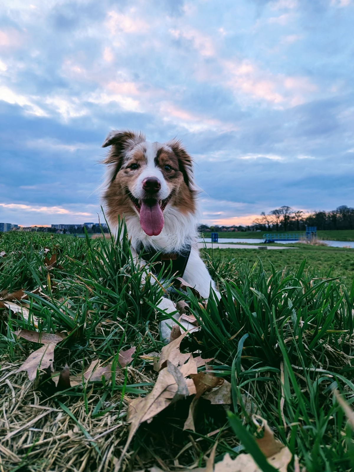 bfa030e7-bc7c-4343-b7c1-ed6eaf7b0bca