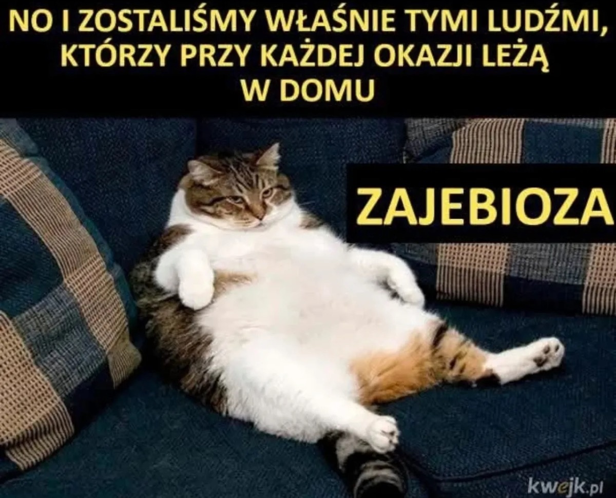 e62b9537-fb7c-4d24-a3ef-100fdab45fe1