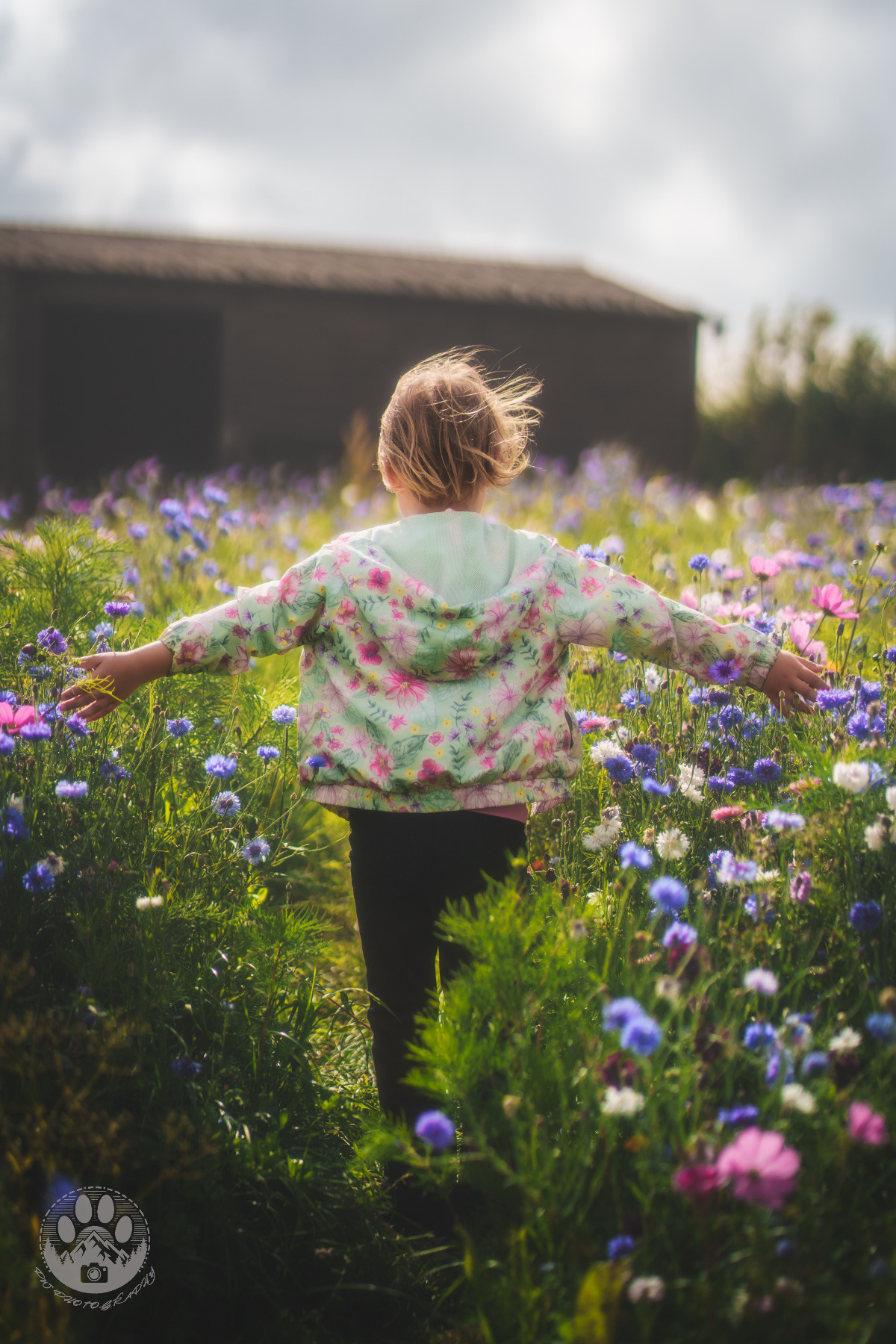 17be7acd-ea45-414c-a4a6-a572b2f763b5