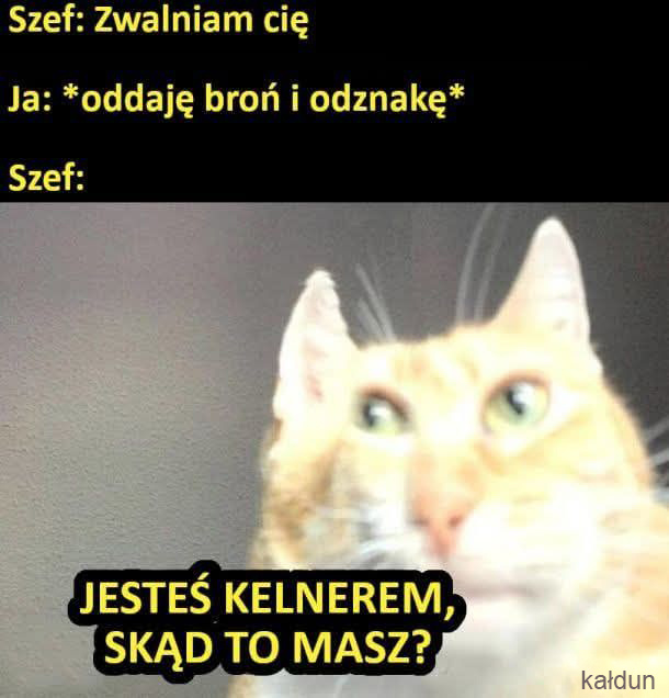 cfd1f166-1150-4368-ab14-b2fd81e04517