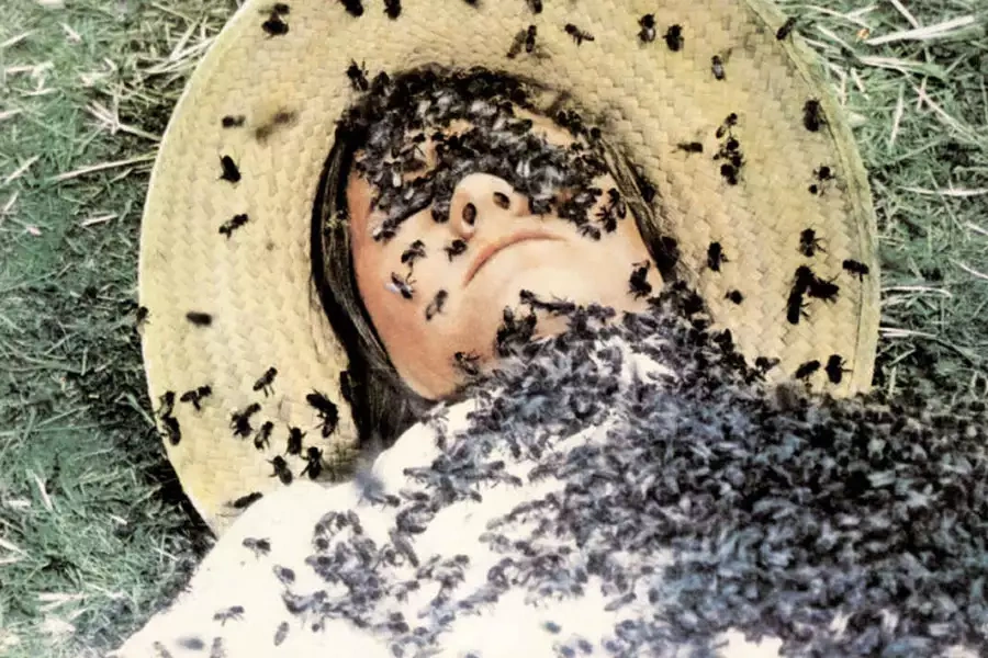 0e4cf3c9-e427-4fdb-b8eb-825f6d6ad489