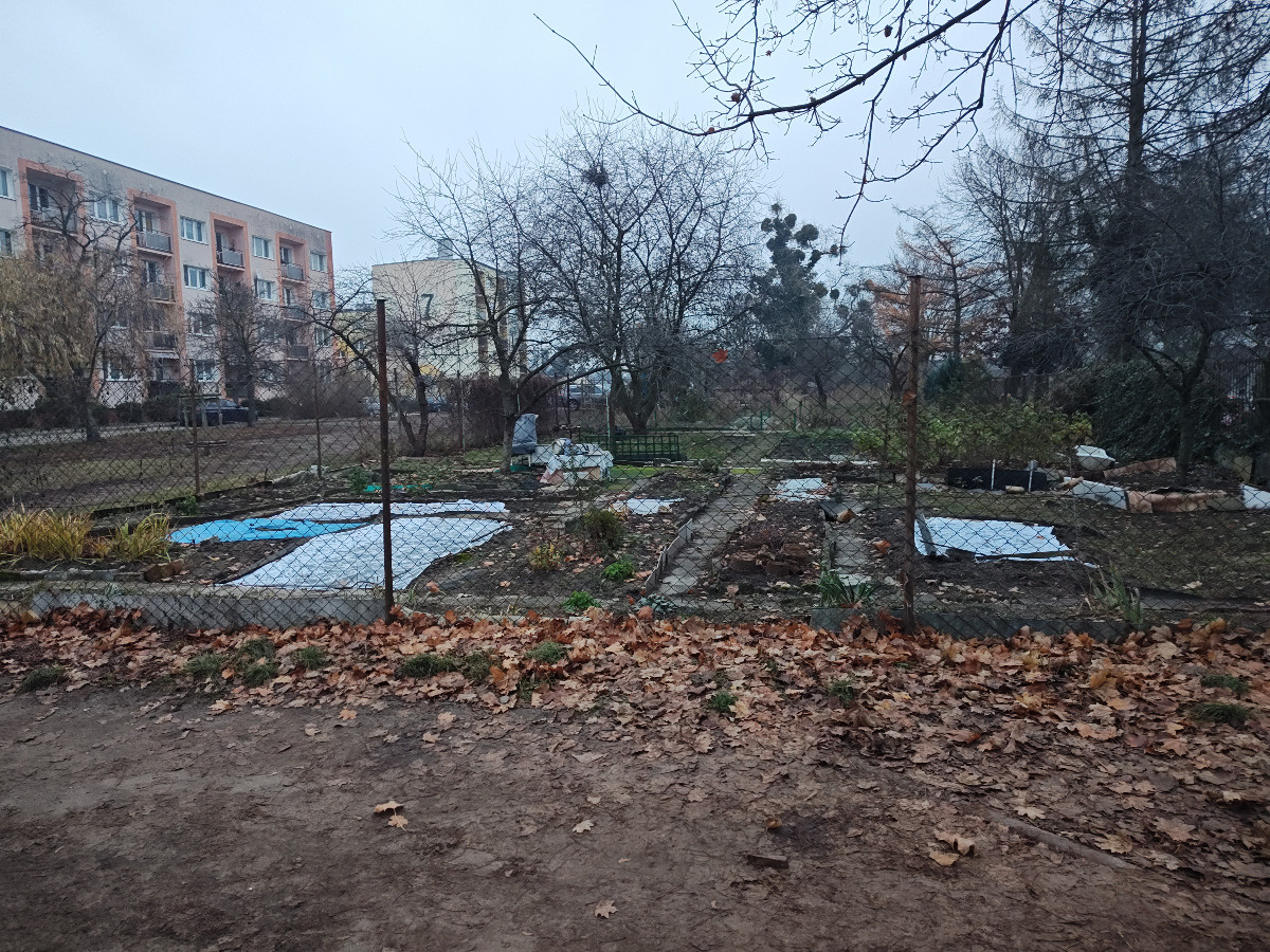 11268d47-e75a-4451-9f31-c072ac484974