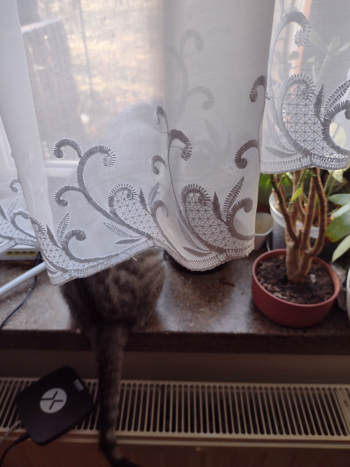 46c9559f-09db-4461-bffe-98f47031e077