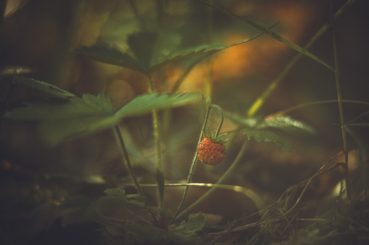 171fb7ab-4698-468e-877b-a8269a5f793f