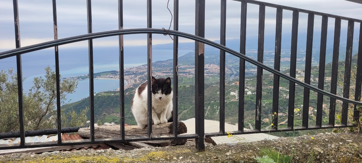 01e53d6b-124d-4e09-9271-9182ac4fb06c