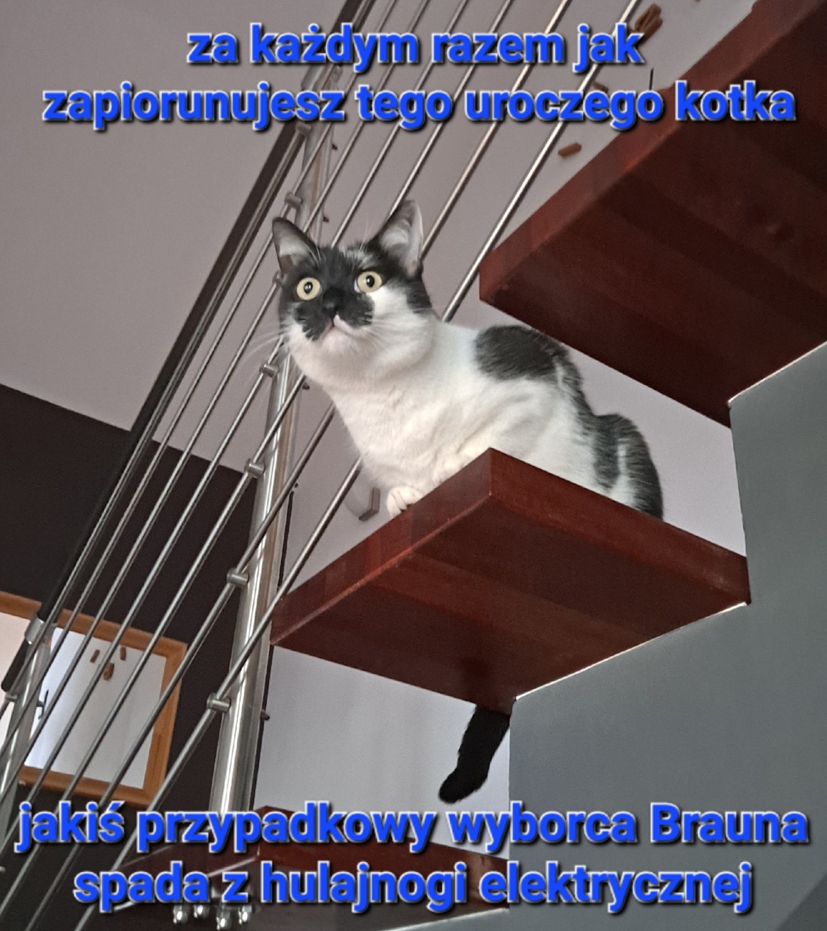 9e0307fe-16c7-4df6-a1a5-458ea0b43c7f