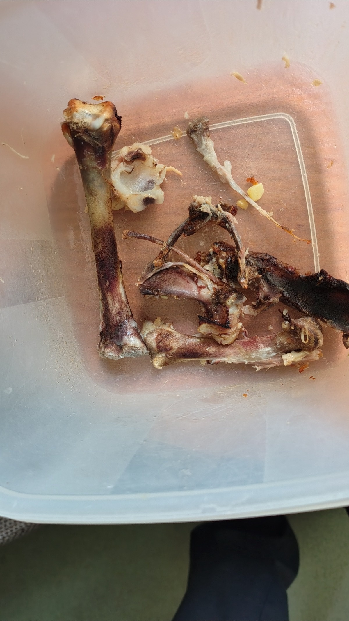 5fb01480-c579-4406-b924-e98bd0671ed8