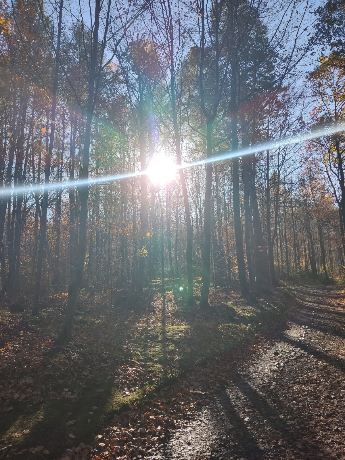 7910889f-8055-4803-8973-4a47e66842c8