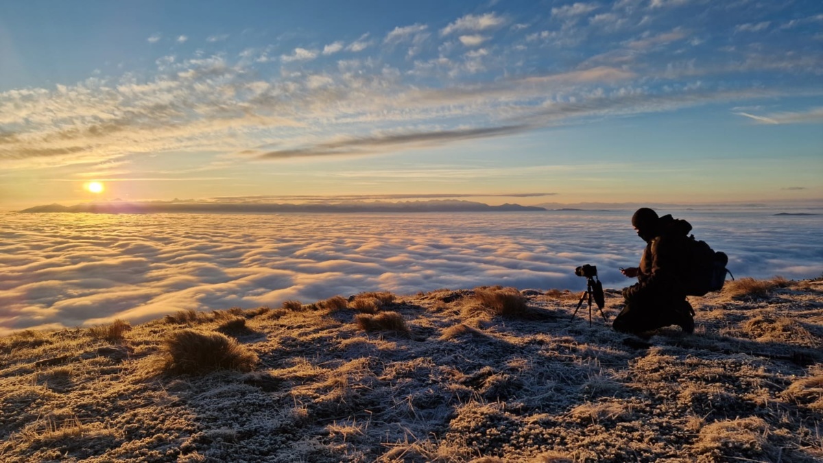 fe38890f-f36a-4f1b-b9f7-f11b812b1d0b