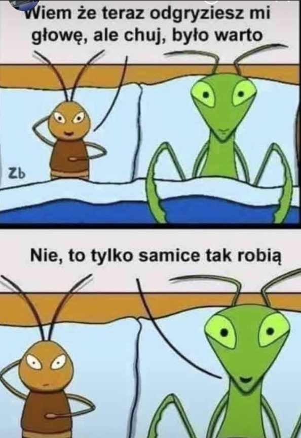 bf0dcd36-4cda-416c-ba8e-e5cb469e6af4