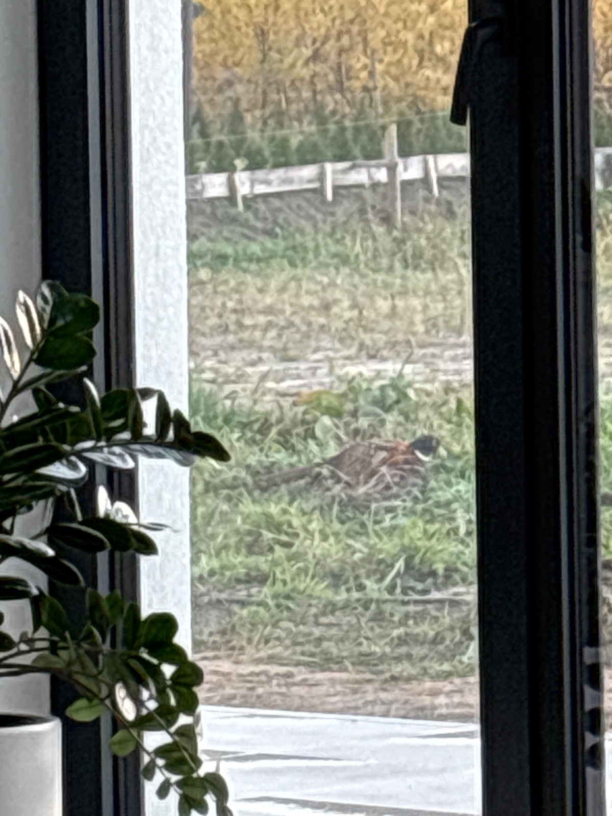 3657c614-7307-49e1-a0c3-30b6902d7057